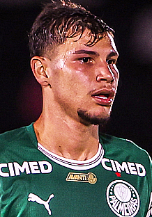 SERÁ QUE O PALMEIRAS PRECISA DE REFORÇOS?